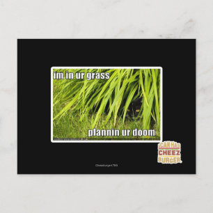 im in ons gras briefkaart