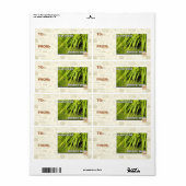 im in ons gras etiket (Full Sheet)