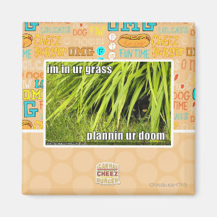 im in ons gras magneet