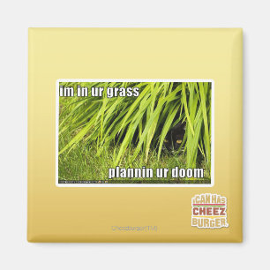 im in ons gras magneet