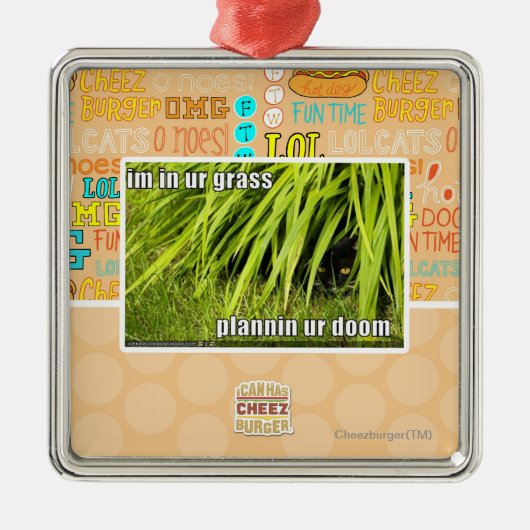 im in ons gras metalen ornament (Voorkant)