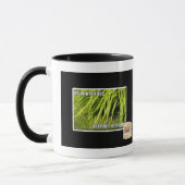 im in ons gras mok (Links)