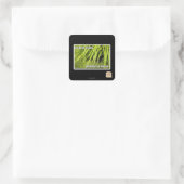 im in ons gras vierkante sticker (Tas)