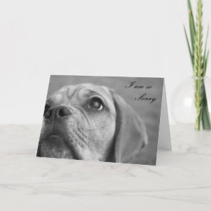 Im personnalisable carte de voeux mignonne désolée