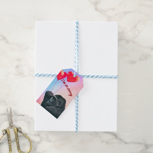 "I'm so sorry" Cadeaulabel (Met Touw)