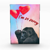 "I'm so sorry" Fotoblokken (Voorkant)