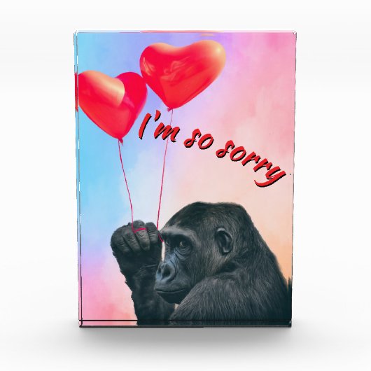 "I'm so sorry" Fotoblokken (Voorkant)