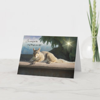 I'm sorry for the way things were left - Apology Kaart