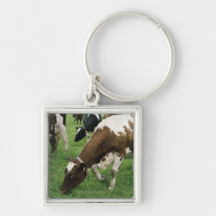 ima28991 sleutelhanger