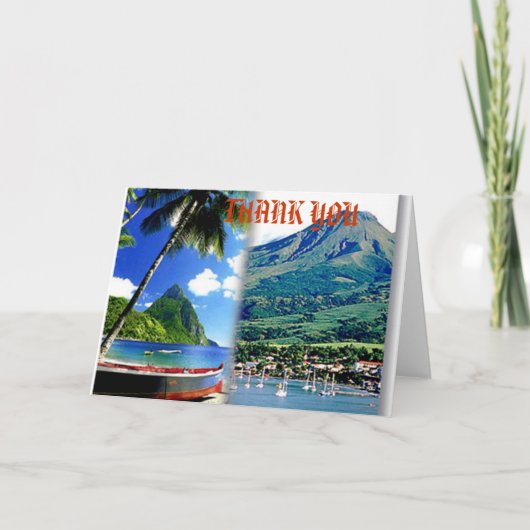 image009, MERCI (Devant)