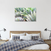 Image Agave 'Blue Glow', 'Blue Flame', impression  (Insitu(Chambre))