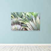 Image Agave 'Blue Glow', 'Blue Flame', impression  (Insitu (Plancher de Bois))