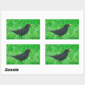 Image Blackbird pour Stickers Rectangle, brillant (Feuille)