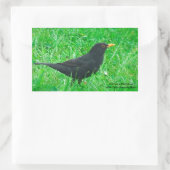 Image Blackbird pour Stickers Rectangle, brillant (Sac)
