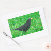 Image Blackbird pour Stickers Rectangle, brillant (Enveloppe)