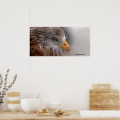Image Buzzard pour Poster (Cuisine)