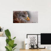 Image Buzzard pour Poster (Bureau à domicile)