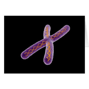 Image Conceptuelle De Chromosome 2