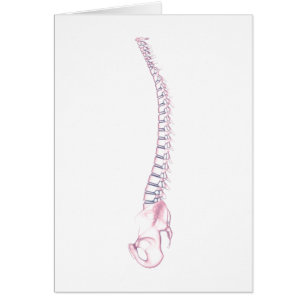 Image Conceptuelle De La Fondatrice Humaine 3