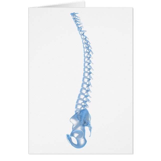 Image Conceptuelle De La Fondatrice Humaine 5 (Devant)