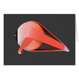 Image Conceptuelle De L'Anatomie Des Yeux Humains 