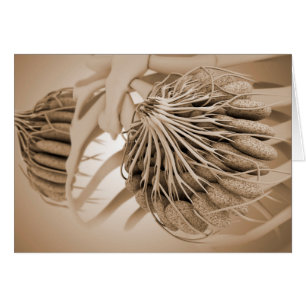 Image Conceptuelle De L'Anatomie Du Sein Féminin 5