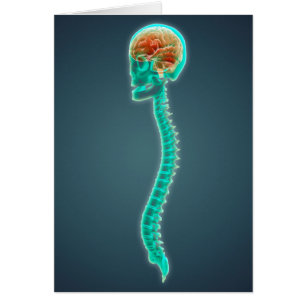 Image conceptuelle de l'esprit humain, du crâne et