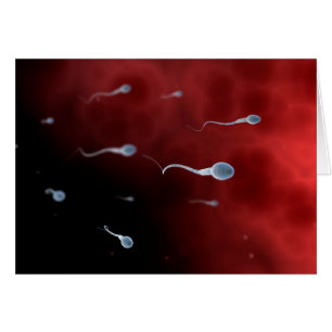 Image Conceptuelle De Sperm À L'Intérieur Du Tube 