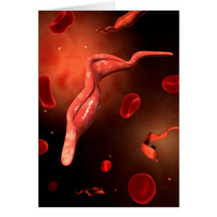Image Conceptuelle De Trypanosoma 1