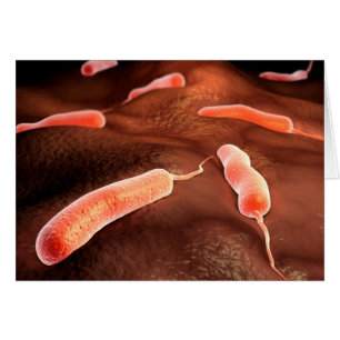 Image Conceptuelle De Vibrio Cholerae 1