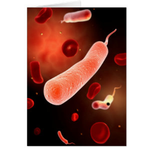 Image Conceptuelle De Vibrio Cholerae 2