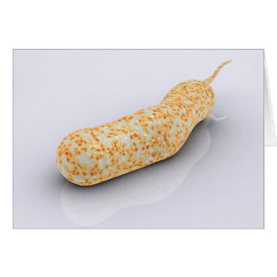 Image Conceptuelle De Vibrio Cholerae 3