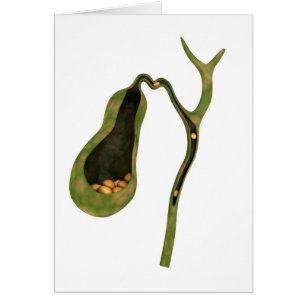 Image Conceptuelle Des Pierres À L'Intérieur De La