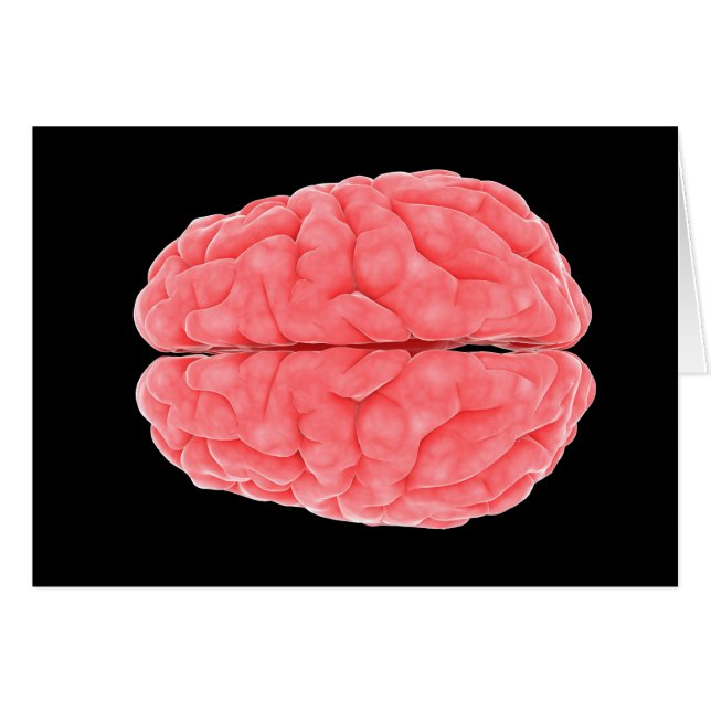Image Conceptuelle Du Cerveau Humain 10 (Devant horizontal)