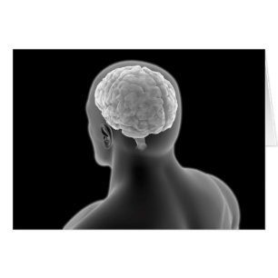 Image Conceptuelle Du Cerveau Humain 2