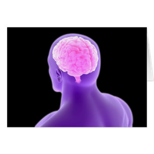 Image Conceptuelle Du Cerveau Humain 9