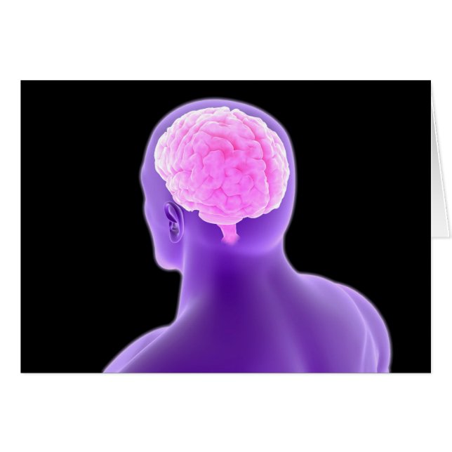 Image Conceptuelle Du Cerveau Humain 9 (Devant horizontal)