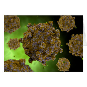 Image Conceptuelle Du Coxsackievirus 2