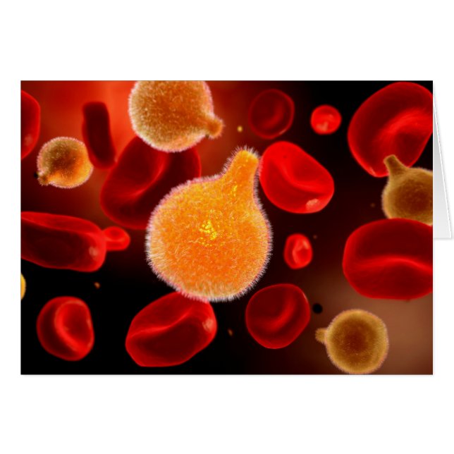 Image Conceptuelle Du Plasmodium À L'Origine Du Pa (Devant horizontal)
