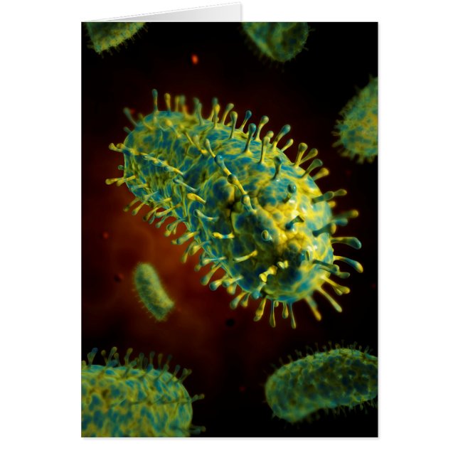 Image Conceptuelle Du Virus De La Rage 1 (Devant)