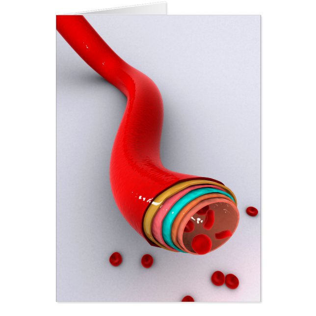 Image Conceptuelle D'Un Bateau De Sang (Devant)