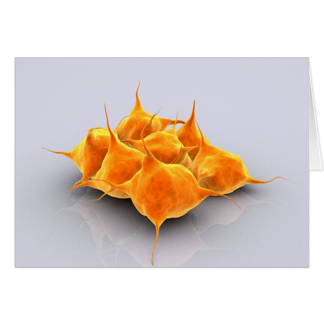 Image Conceptuelle D'Un Groupe De Platelets (Devant horizontal)