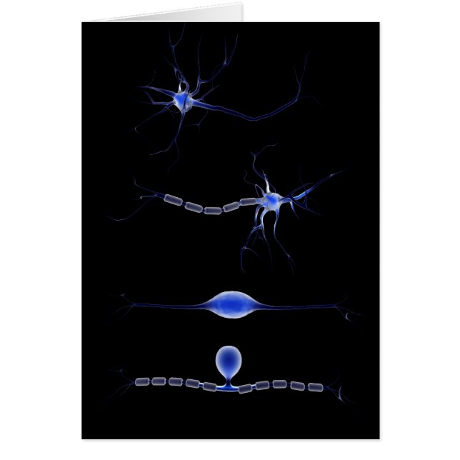 Image Conceptuelle D'Un Neuron 1 (Devant)