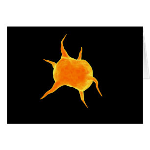 Image conceptuelle d'une plaquette