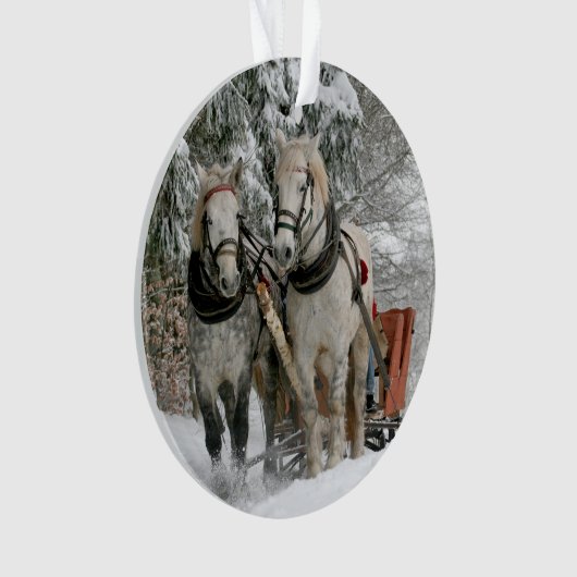 Image couleur de la plage de neige d'hiver (devant)