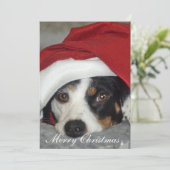 Image de carte de Noël de chien. (Debout devant)