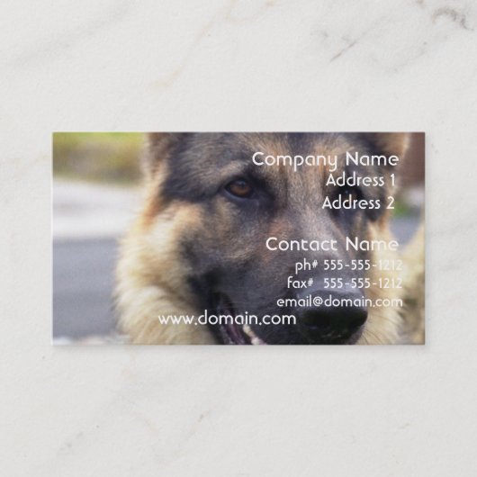 Image de carte de visite de berger allemand (Devant)