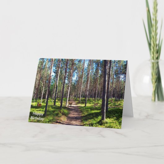 Image de cerf pour carte de voeux d'anniversaire (Devant)