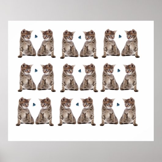 Image de chaton pour Poster (Devant)