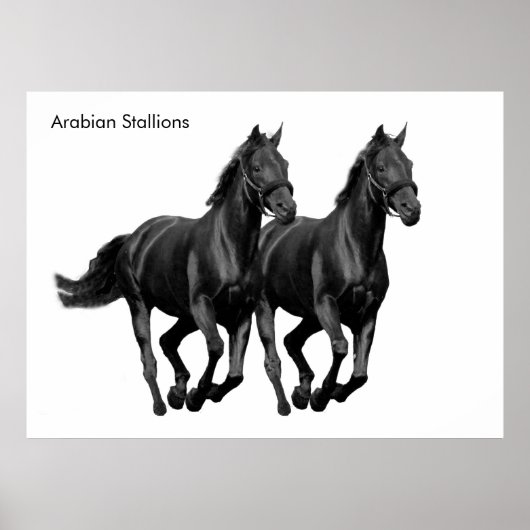 Image de cheval pour Poster (Devant)